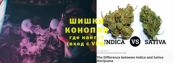 мдпв Верхний Тагил