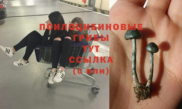 каннабис Верея