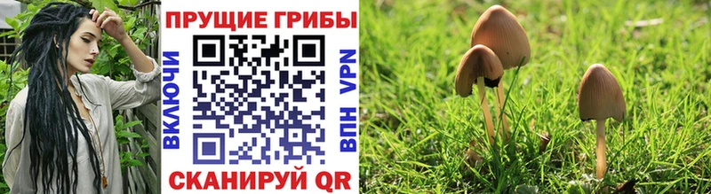 Галлюциногенные грибы GOLDEN TEACHER  Кировск 